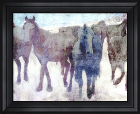 Framed Calgary Stampede Print