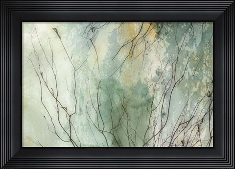 Framed Branches II Print