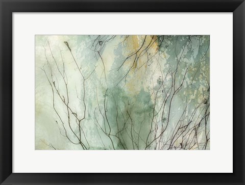 Framed Branches II Print