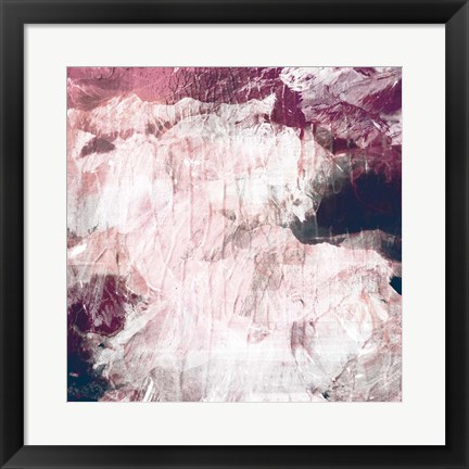 Framed Abstract Roses Print