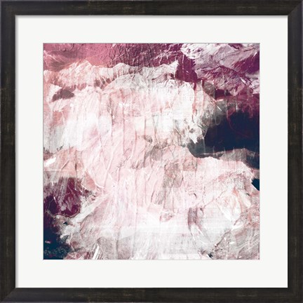 Framed Abstract Roses Print