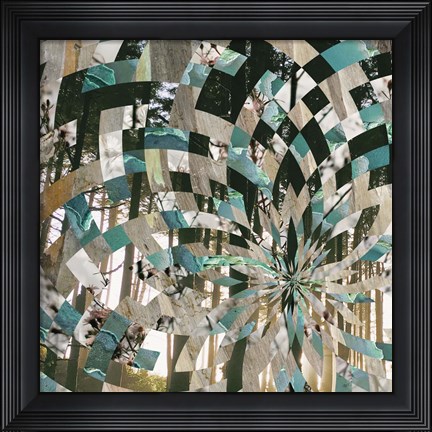 Framed Kaleidescope Visions I Print