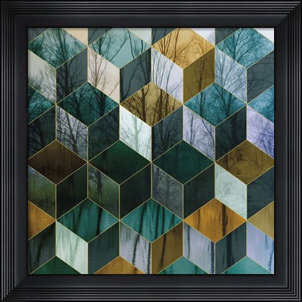 Framed Kaleidescope Visions III Print