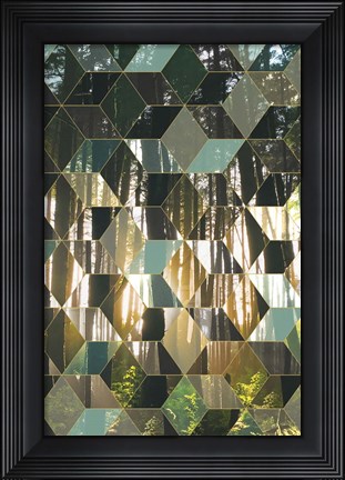 Framed Kaleidescope Visions IV Print