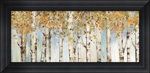 Framed Birch Country Print