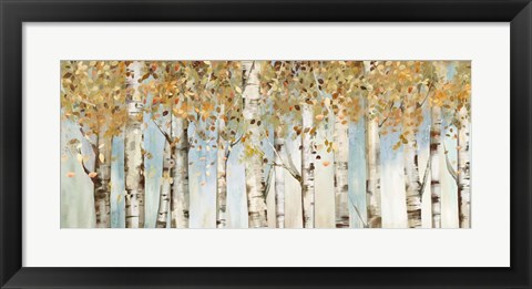 Framed Birch Country Print