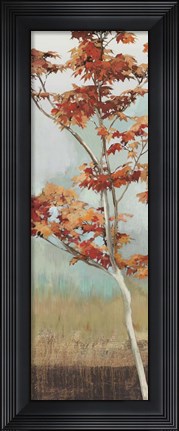 Framed Maple Tree Print