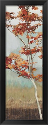 Framed Maple Tree Print