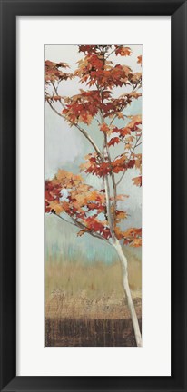Framed Maple Tree Print