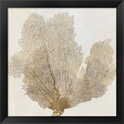 Framed Gold Coral II Print