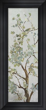 Framed Bloom II Print