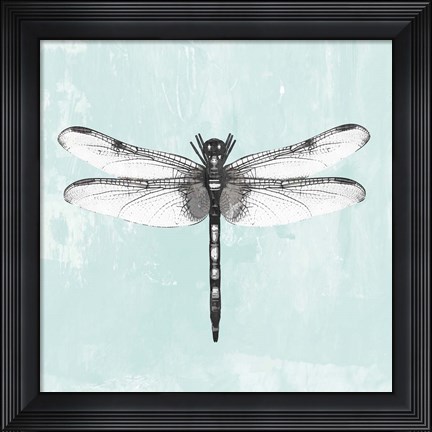 Framed Dragonfly I Print