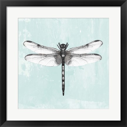 Framed Dragonfly I Print