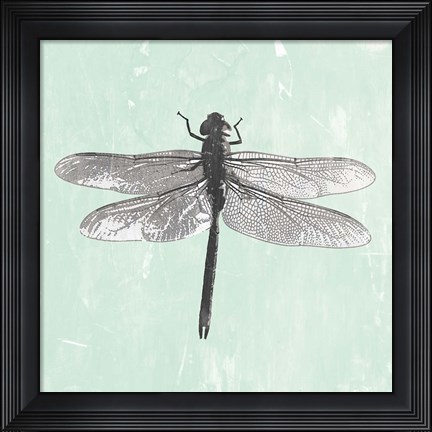 Framed Dragonfly II Print