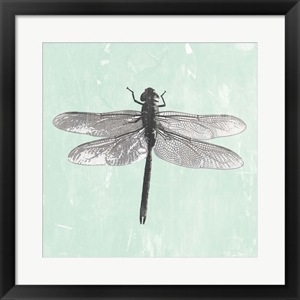 Framed Dragonfly II Print