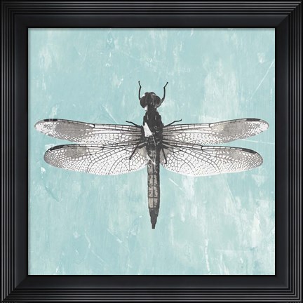 Framed Dragonfly III Print