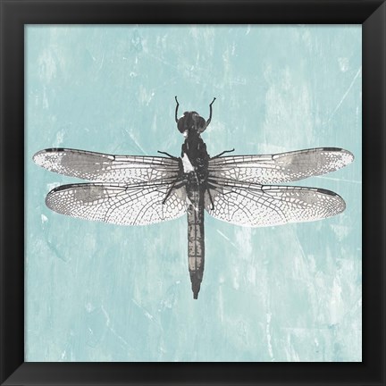 Framed Dragonfly III Print