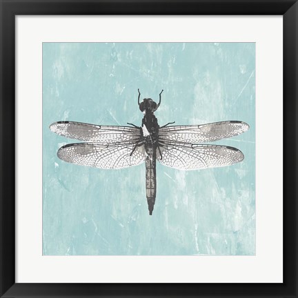 Framed Dragonfly III Print