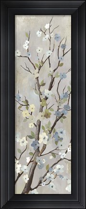 Framed Blossom II Print