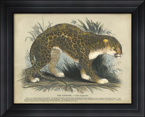 Framed Leopard Print