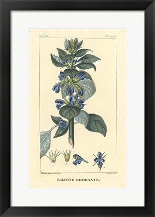 Framed Ballote Oderante Print
