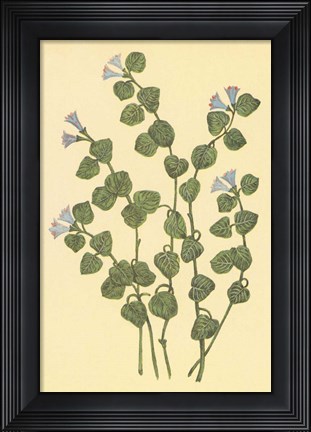 Framed Patridge Berry Print