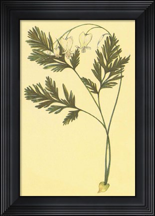 Framed Squirrel Corn Print