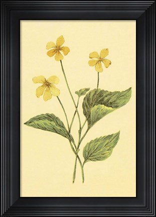 Framed Yellow Violet Print