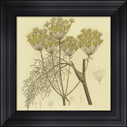 Framed Yellow Weeds Print