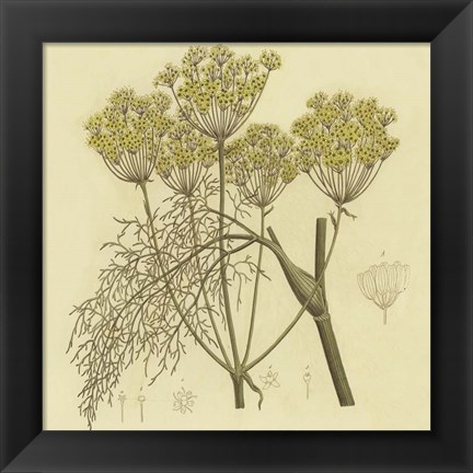 Framed Yellow Weeds Print