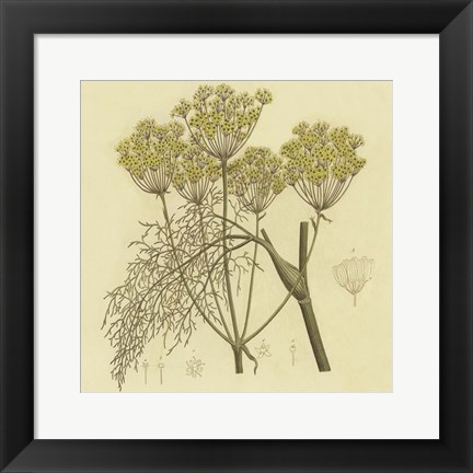 Framed Yellow Weeds Print
