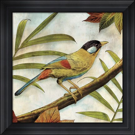 Framed Jungle Bird I Print