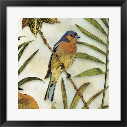 Framed Jungle Bird II Print