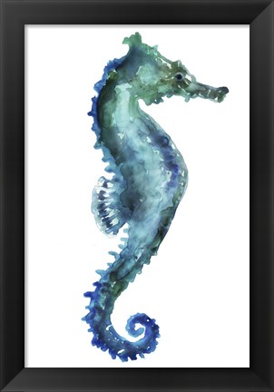 Framed Sea Horse Print