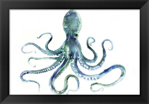 Framed Octopus Print