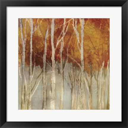 Framed Belgium Forest I Print