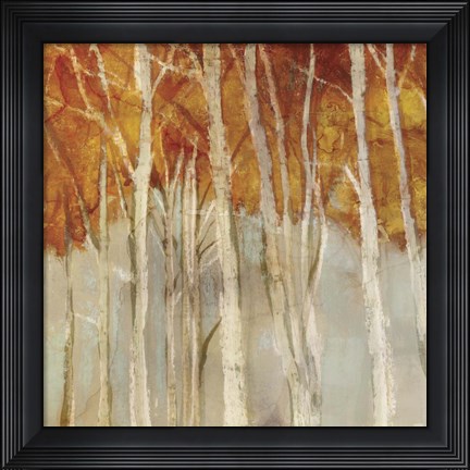 Framed Belgium Forest II Print