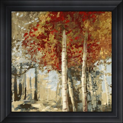 Framed Frontier II Print