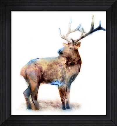 Framed Elk Print
