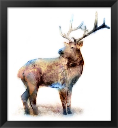 Framed Elk Print