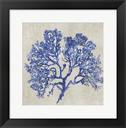 Framed Cobalt Coral I Print