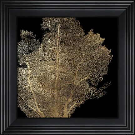 Framed Honeycomb Coral I Print