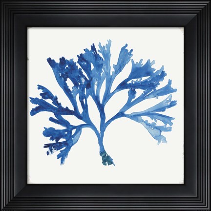 Framed Blue and Green Coral IV Print