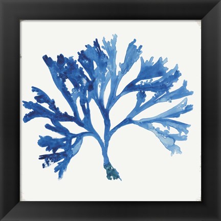 Framed Blue and Green Coral IV Print