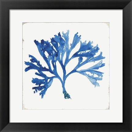 Framed Blue and Green Coral IV Print