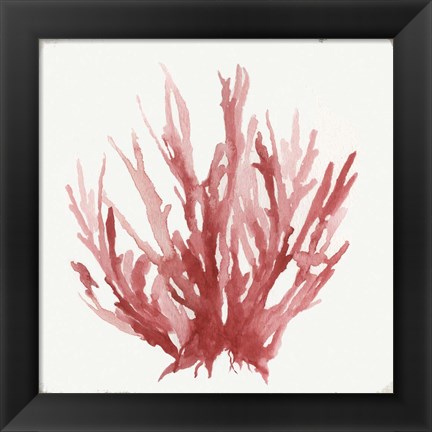 Framed Red Coral I Print