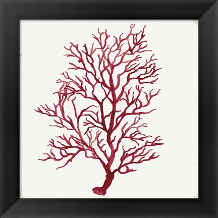 Framed Red Coral III Print