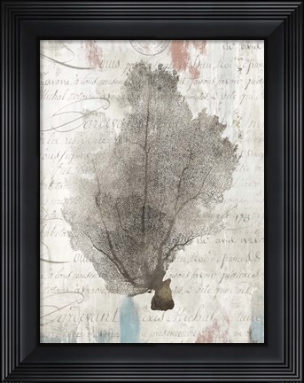 Framed Shabby Chic II Print