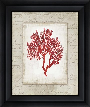 Framed Red Coral II Border Print