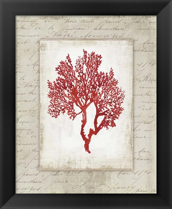 Framed Red Coral II Border Print